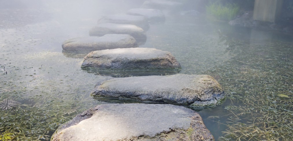 Stepping stones along a path