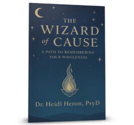 Wizard of Cause